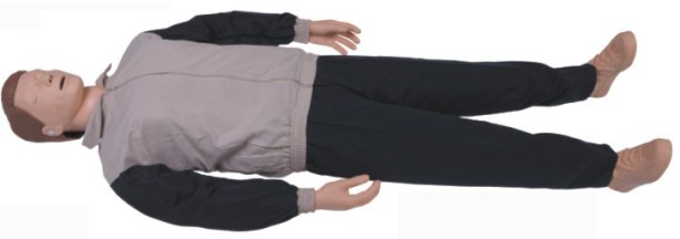 ģ