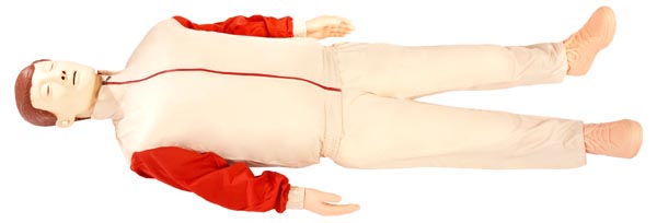 ģ